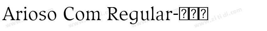 Arioso Com Regular字体转换
